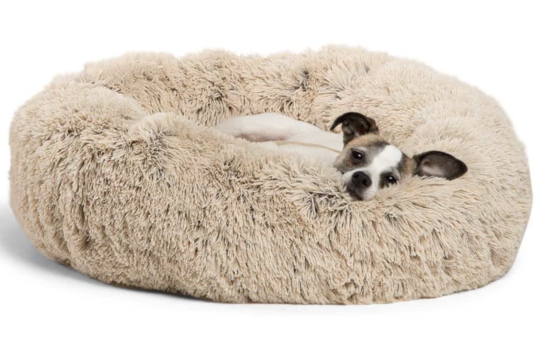 Is a Candlewick Bedspread a Good Choice for a Pet Bed? Exploring Durability Considerations